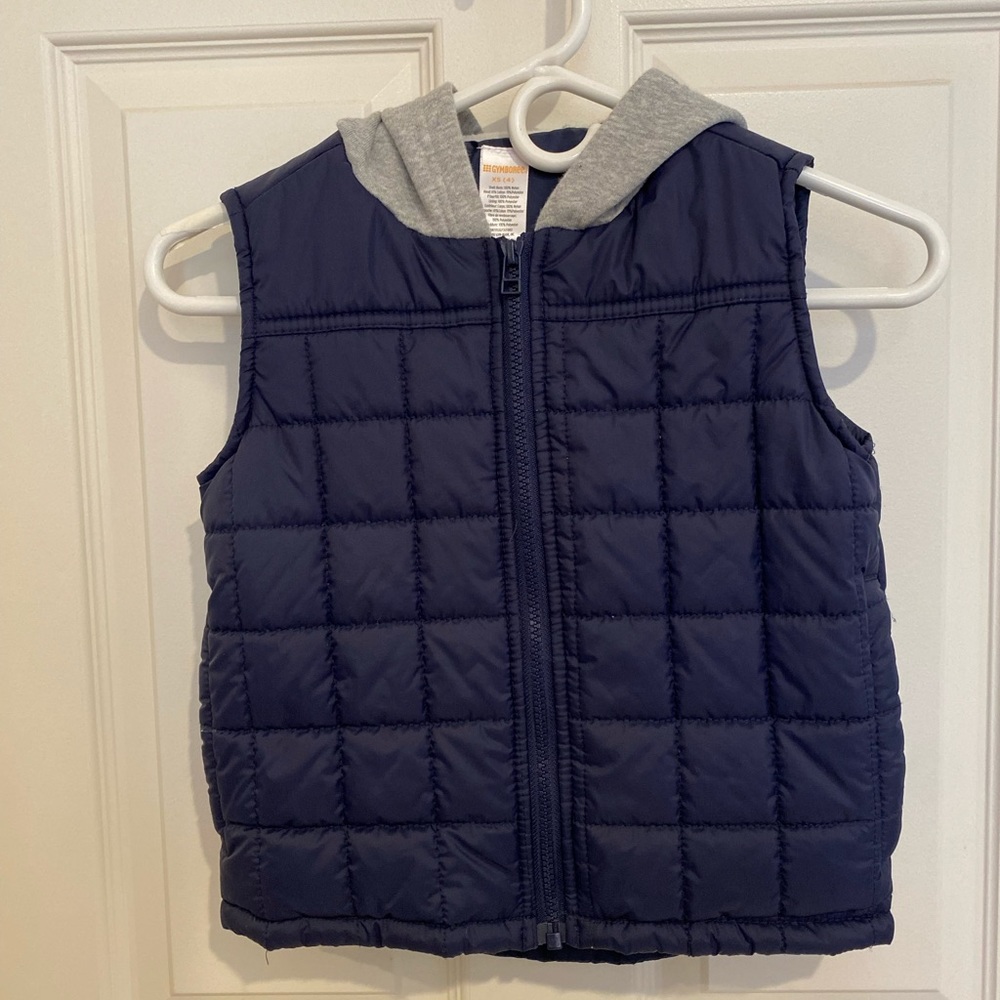 Gymboree boys beat with gray hood